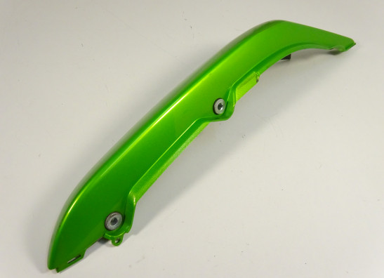 Heck links Kawasaki ER 6