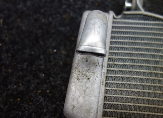 Kuhler Kawasaki Ninja 125