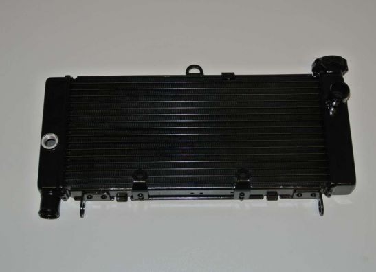 Radiator Honda CB 600 F