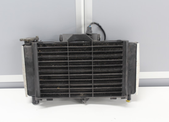 Radiateur Yamaha FZ6