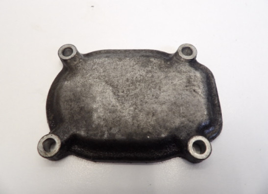 Engine cover Suzuki DR 800