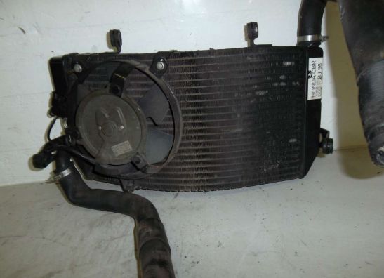 Radiator Honda CBR 600 F