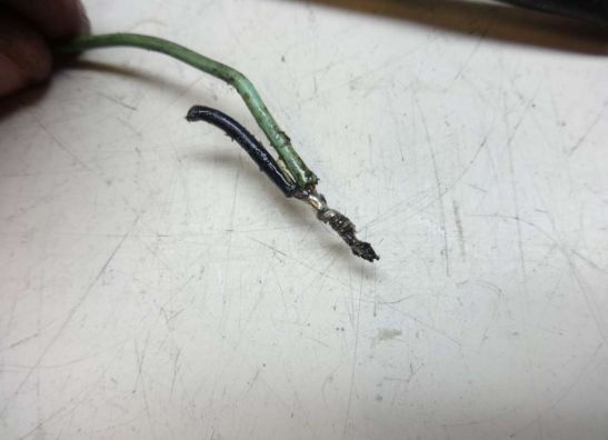 Dynamo Suzuki GT 750