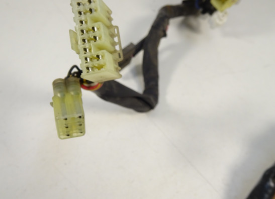 Kabelbaum Yamaha FAZER 600