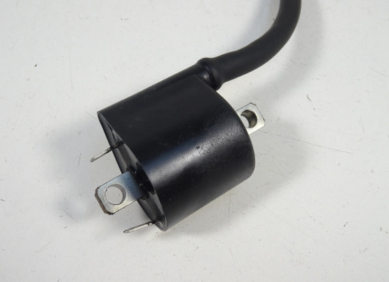 Zundspule Suzuki SV 1000