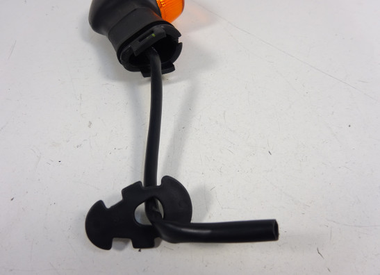 Winker left rear Yamaha FZ1