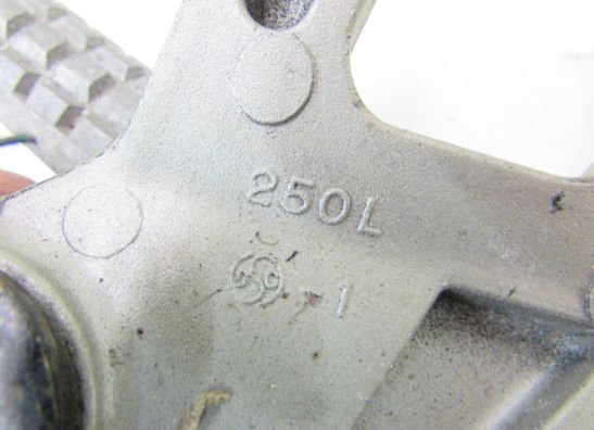 Pillion step left  Kawasaki ZZR 600