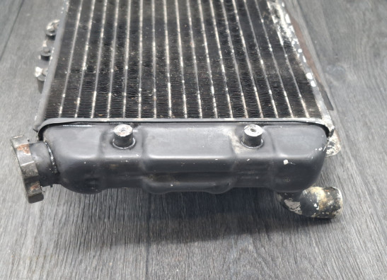 Radiator Suzuki Madura 1200