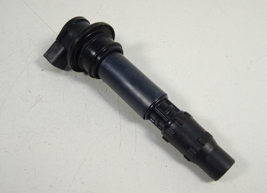 Bobine Triumph Tiger 1050