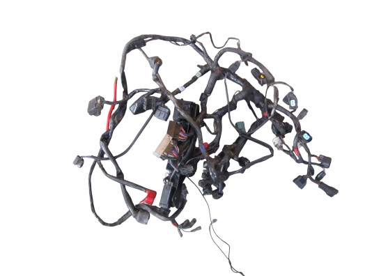 Kabelboom Triumph 675 Street Triple R