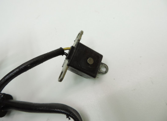 Dynamo Kawasaki ZZR 250