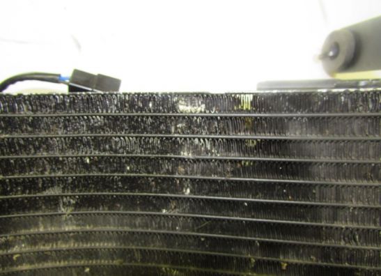 Radiateur Suzuki GSX R 600