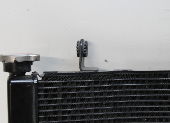 Radiateur Ducati 1198