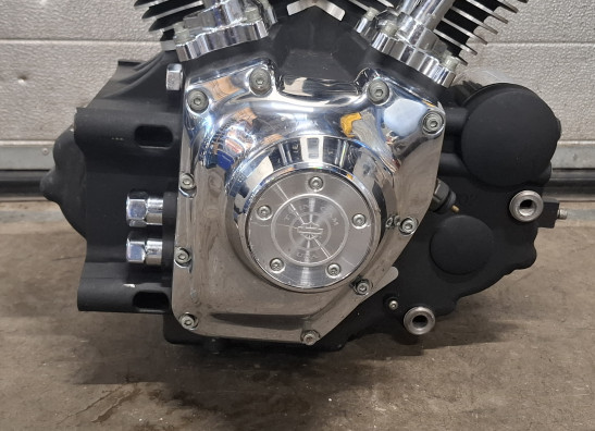 Motorblok Harley Davidson FLSTF Fat Boy Lo