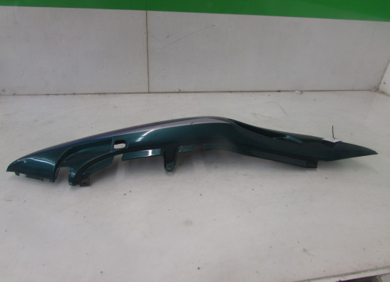 Heck links Yamaha XJ 900 S Diversion