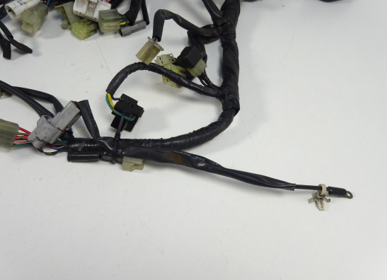 Wire harness front Yamaha FJR 1300