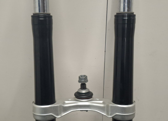 Voorpoten compleet BMW R 1250 GS
