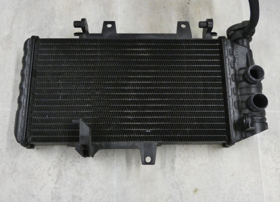 Radiator BMW F 800 S - ST