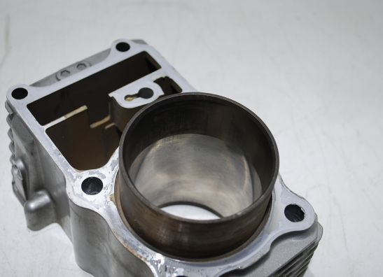 Cilinderblok Honda TRANSALP