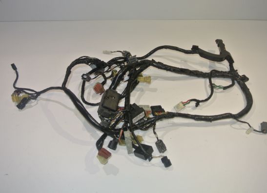 Wire Harness Honda CBR Fireblade