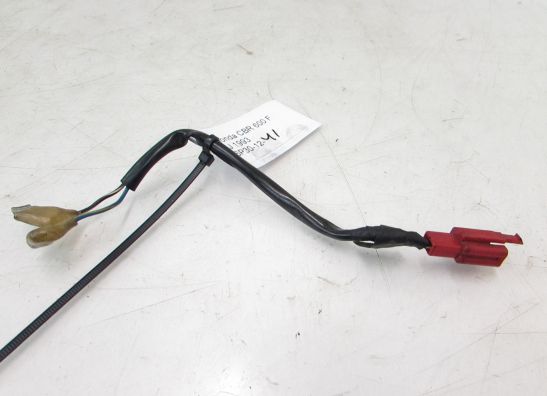 Kabelbaum vorne Honda CBR 600 F