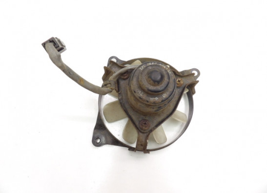 Fan Kawasaki EN 500 Vulcan