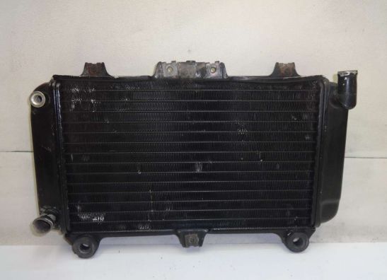 Kuhler Kawasaki GPZ 600