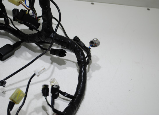 Wire Harness Kawasaki Ninja 300