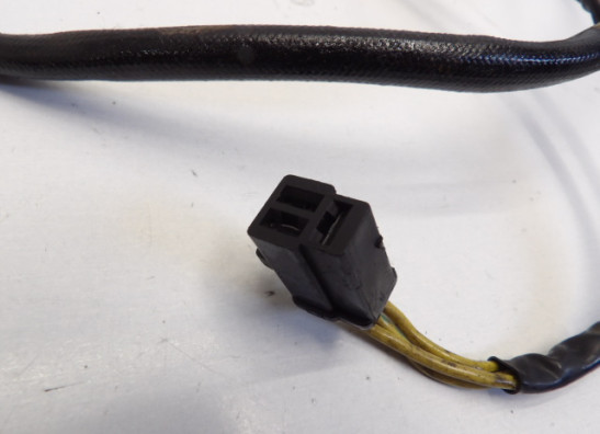 Dynamo Suzuki LS 650