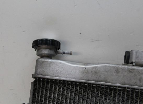 Radiateur Yamaha XSR 700