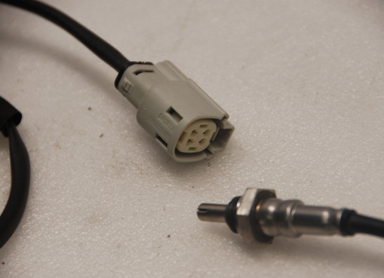 Lambda sensor Harley Davidson Softtail