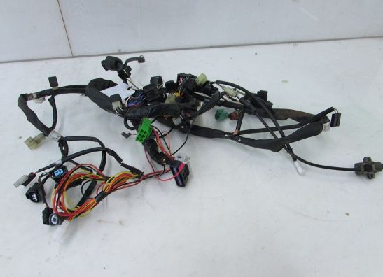 Kabelbaum Suzuki Burgman 400