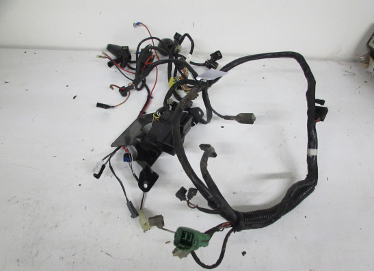 Wire Harness Suzuki GSX F 600