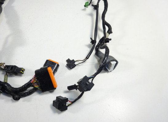 Wire Harness Kawasaki ER 6