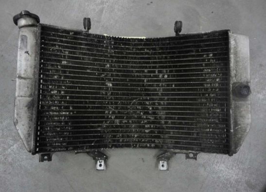 Radiator Suzuki GSX R 1000