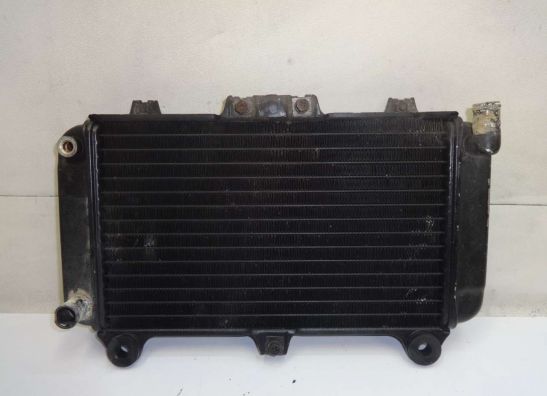 Kuhler Kawasaki GPZ 600