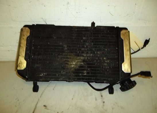 Radiateur Suzuki SV 650