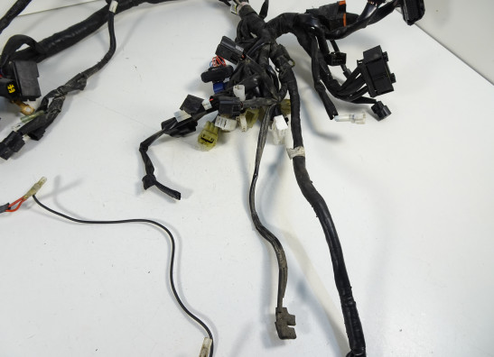 Kabelbaum Yamaha Tracer 700