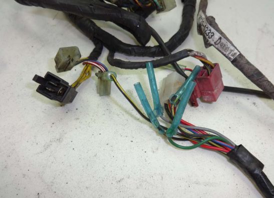 Kabelbaum Kawasaki EL 250