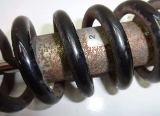 Stossdämpfer vorne BMW R 1100 GS