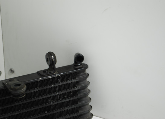 Oil cooler Aprilia Caponord 1000