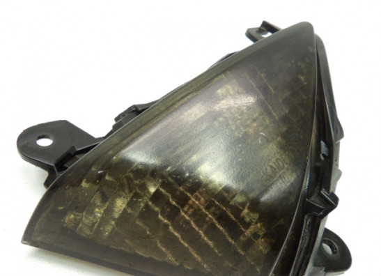 Winker left front Kawasaki Z 1000