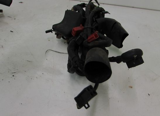 Wire Harness Honda CBR 1000 F