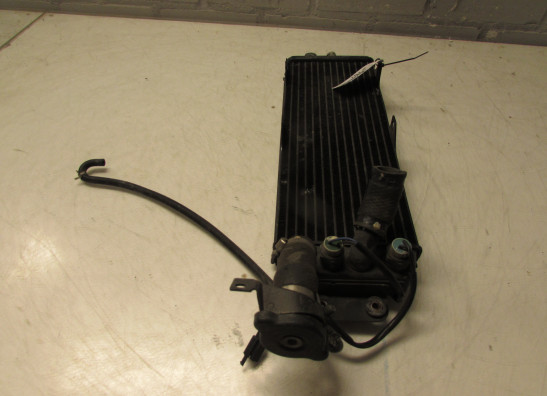 Kuhler Suzuki VX 800