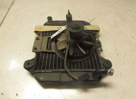 Radiator Kawasaki ZZR 250