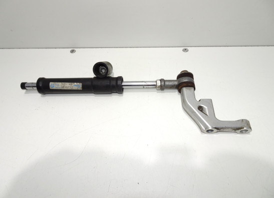 Steering damper BMW F 800 R