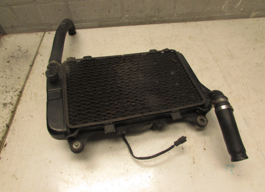Radiateur Kawasaki ZZR 600