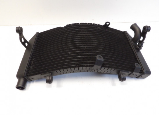 Radiateur Honda CBR 600 FS Sport