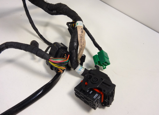 Kabelboom Ducati monster 796