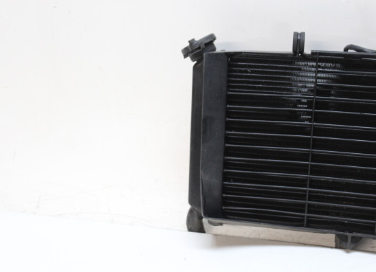 Radiateur Yamaha XJ 6 N